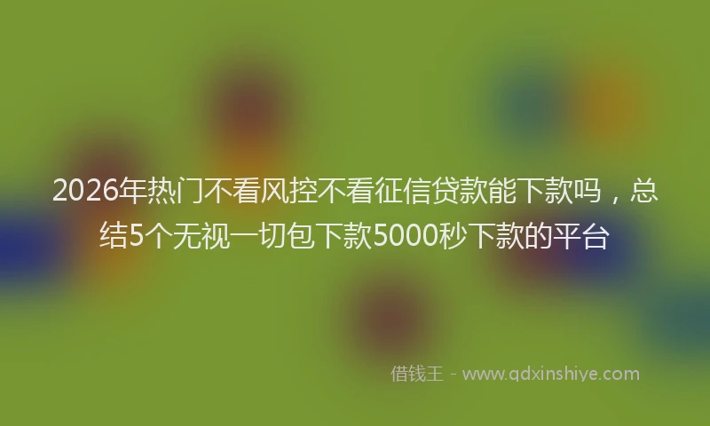2026年热门不看风控不看征信贷款能下款吗，总结5个无视一切包下款5000秒下款的平台