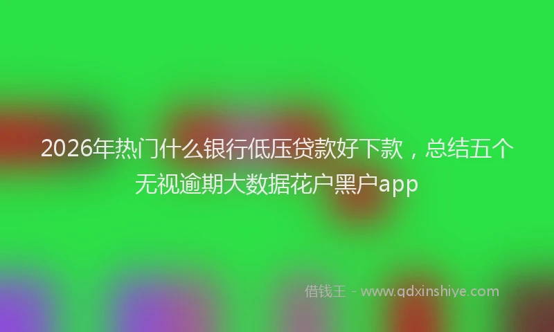 2026年热门什么银行低压贷款好下款，总结五个无视逾期大数据花户黑户app