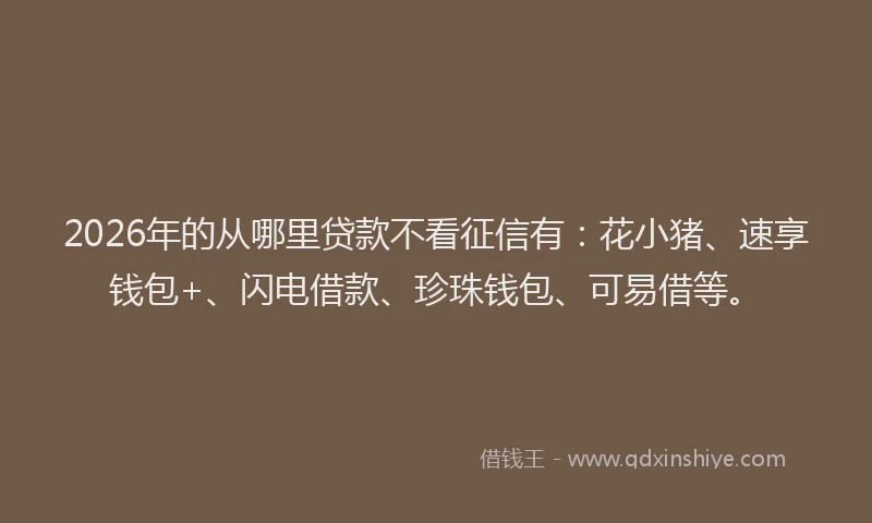 2026年的从哪里贷款不看征信有：花小猪、速享钱包+、闪电借款、珍珠钱包、可易借等。