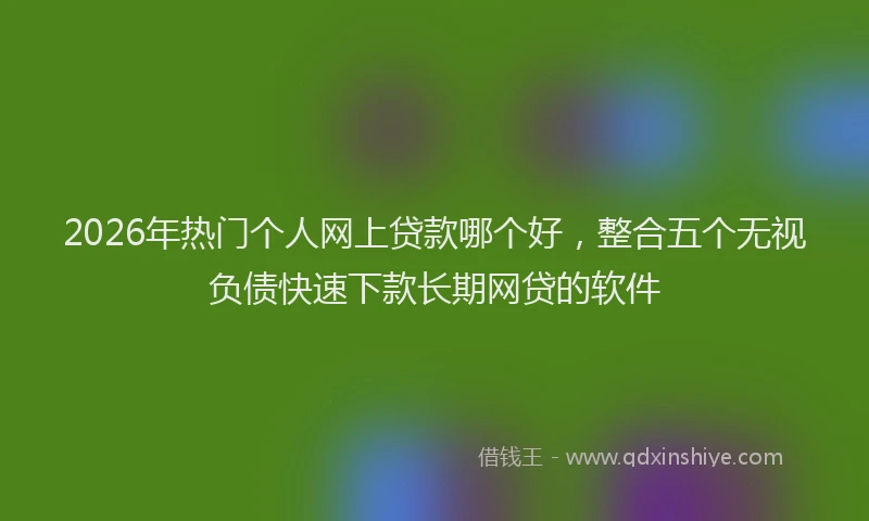 2026年热门个人网上贷款哪个好，整合五个无视负债快速下款长期网贷的软件