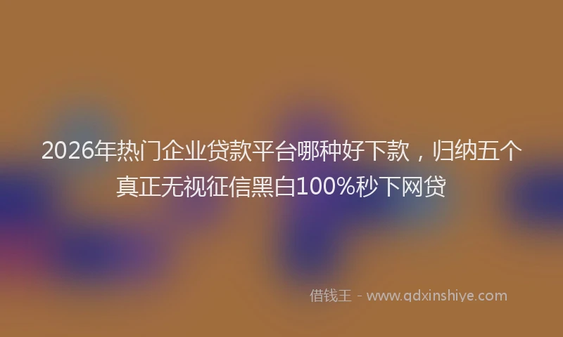 2026年热门企业贷款平台哪种好下款，归纳五个真正无视征信黑白100%秒下网贷