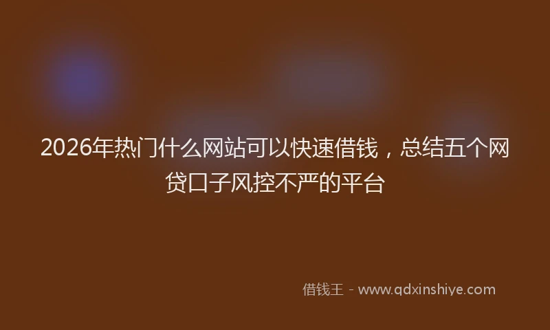 2026年热门什么网站可以快速借钱，总结五个网贷口子风控不严的平台