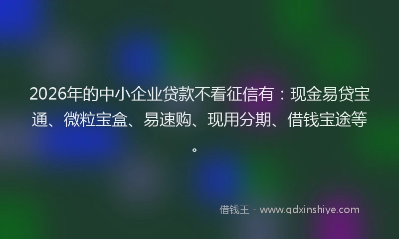 2026年的中小企业贷款不看征信有：现金易贷宝通、微粒宝盒、易速购、现用分期、借钱宝途等。