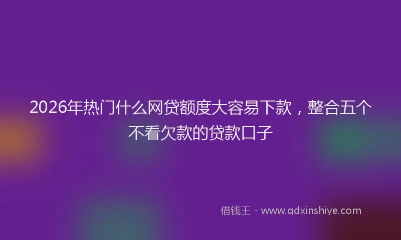 2026年热门什么网贷额度大容易下款，整合五个不看欠款的贷款口子