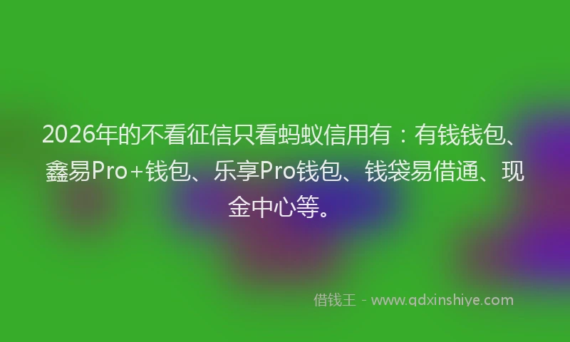 2026年的不看征信只看蚂蚁信用有：有钱钱包、鑫易Pro+钱包、乐享Pro钱包、钱袋易借通、现金中心等。
