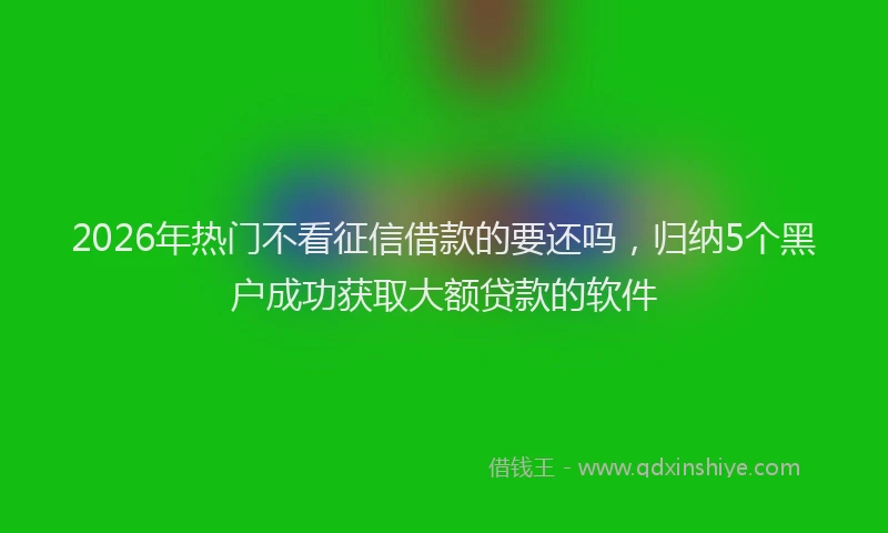 2026年热门不看征信借款的要还吗，归纳5个黑户成功获取大额贷款的软件