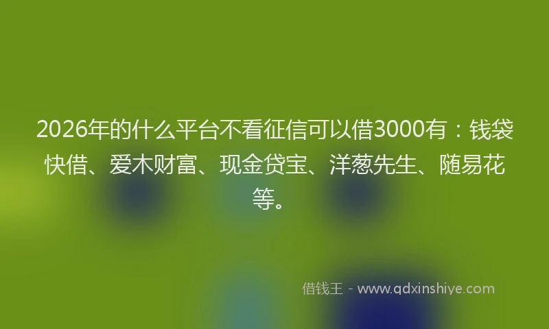 2026年的什么平台不看征信可以借3000有：钱袋快借、爱木财富、现金贷宝、洋葱先生、随易花等。
