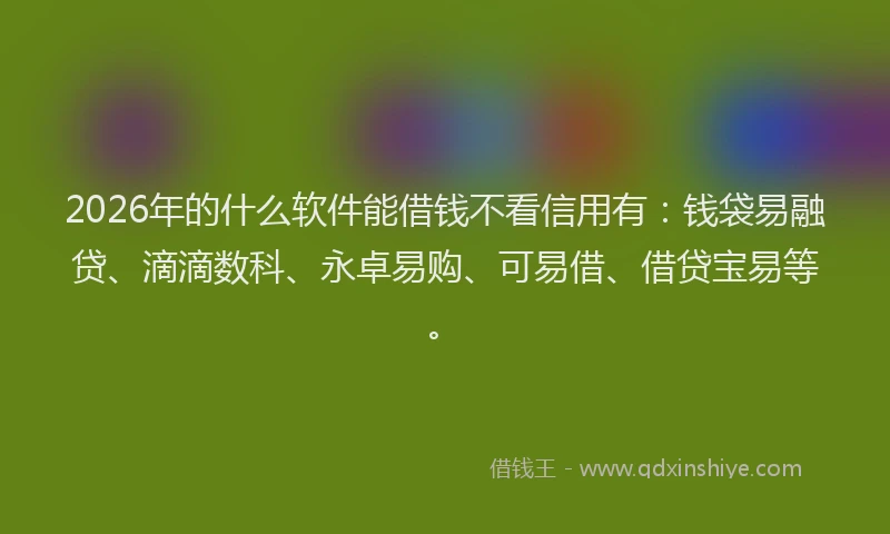 2026年的什么软件能借钱不看信用有：钱袋易融贷、滴滴数科、永卓易购、可易借、借贷宝易等。