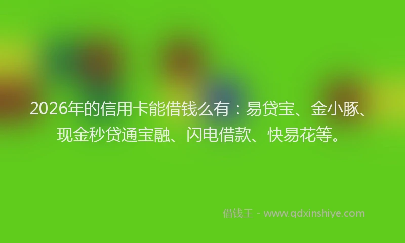 2026年的信用卡能借钱么有：易贷宝、金小豚、现金秒贷通宝融、闪电借款、快易花等。