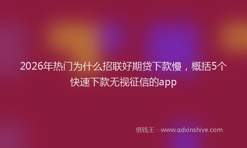 2026年热门为什么招联好期贷下款慢，概括5个快速下款无视征信的app