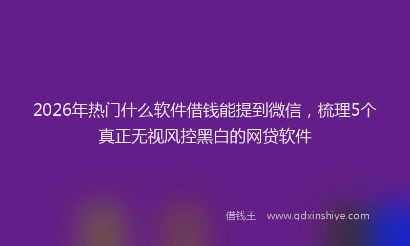 2026年热门什么软件借钱能提到微信，梳理5个真正无视风控黑白的网贷软件
