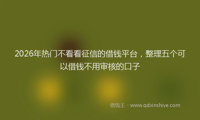 2026年热门不看看征信的借钱平台，整理五个可以借钱不用审核的口子