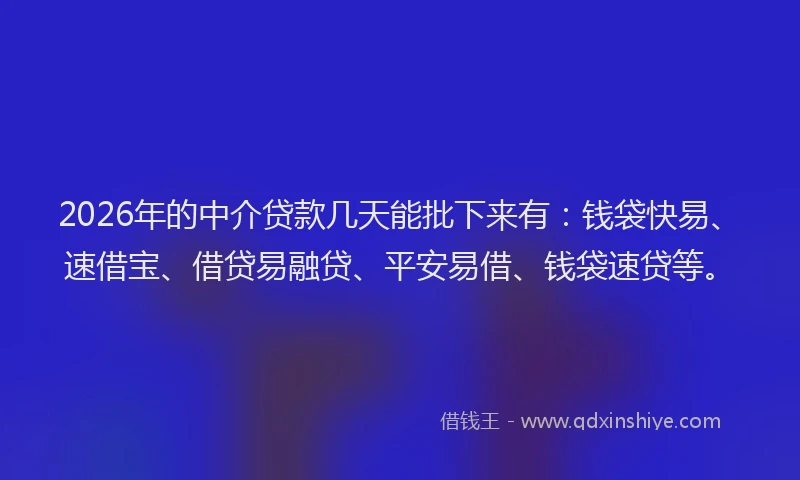 2026年的中介贷款几天能批下来有：钱袋快易、速借宝、借贷易融贷、平安易借、钱袋速贷等。