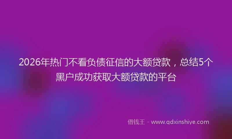 2026年热门不看负债征信的大额贷款，总结5个黑户成功获取大额贷款的平台