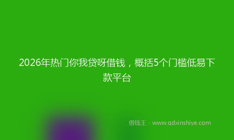 2026年热门你我贷呀借钱，概括5个门槛低易下款平台
