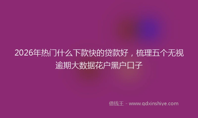 2026年热门什么下款快的贷款好，梳理五个无视逾期大数据花户黑户口子