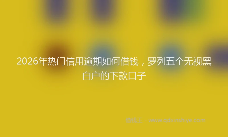 2026年热门信用逾期如何借钱，罗列五个无视黑白户的下款口子