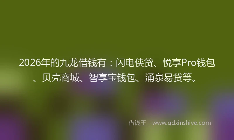 2026年的九龙借钱有：闪电侠贷、悦享Pro钱包、贝壳商城、智享宝钱包、涌泉易贷等。