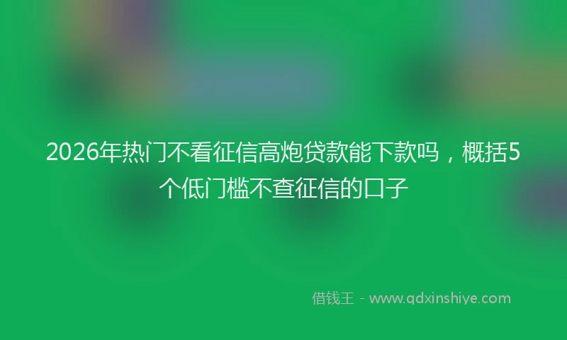 2026年热门不看征信高炮贷款能下款吗，概括5个低门槛不查征信的口子