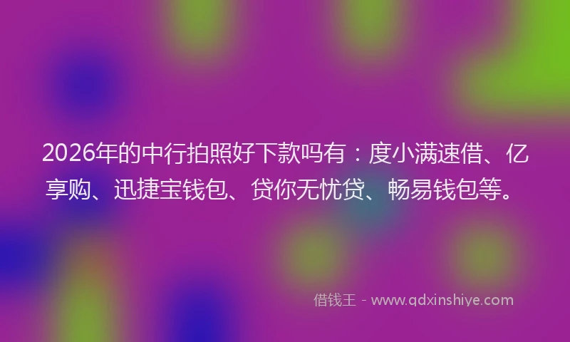 2026年的中行拍照好下款吗有：度小满速借、亿享购、迅捷宝钱包、贷你无忧贷、畅易钱包等。