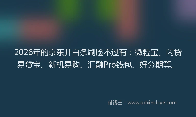 2026年的京东开白条刷脸不过有：微粒宝、闪贷易贷宝、新机易购、汇融Pro钱包、好分期等。