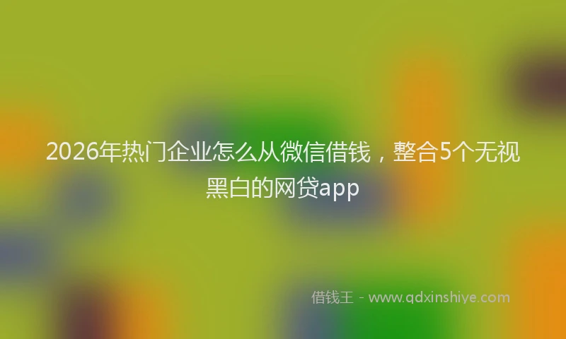 2026年热门企业怎么从微信借钱，整合5个无视黑白的网贷app