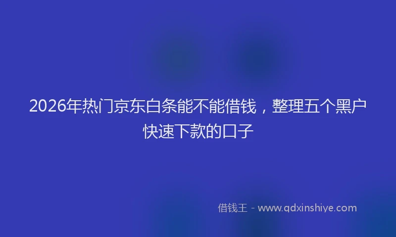 2026年热门京东白条能不能借钱，整理五个黑户快速下款的口子