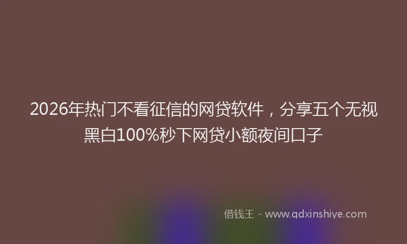 2026年热门不看征信的网贷软件，分享五个无视黑白100%秒下网贷小额夜间口子