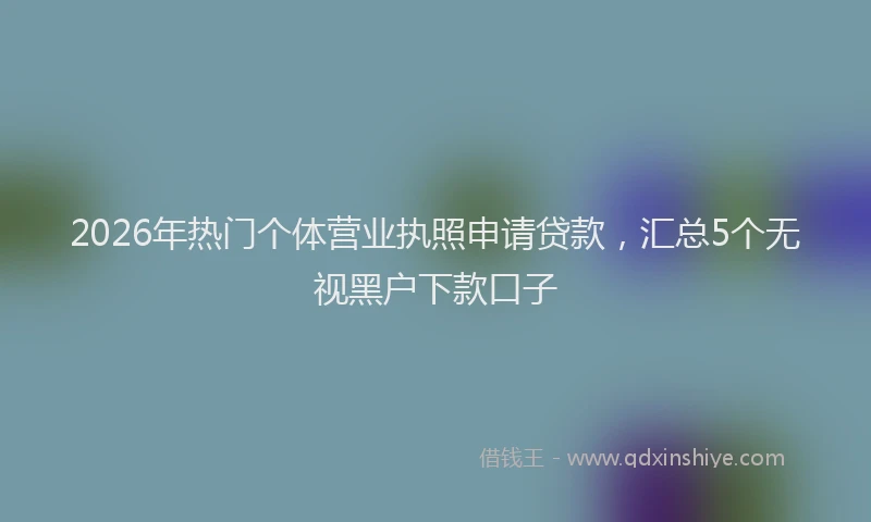 2026年热门个体营业执照申请贷款，汇总5个无视黑户下款口子