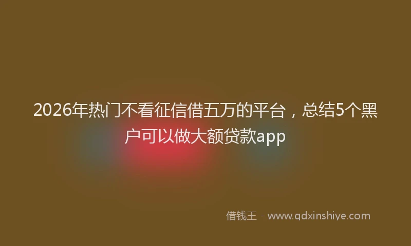 2026年热门不看征信借五万的平台，总结5个黑户可以做大额贷款app