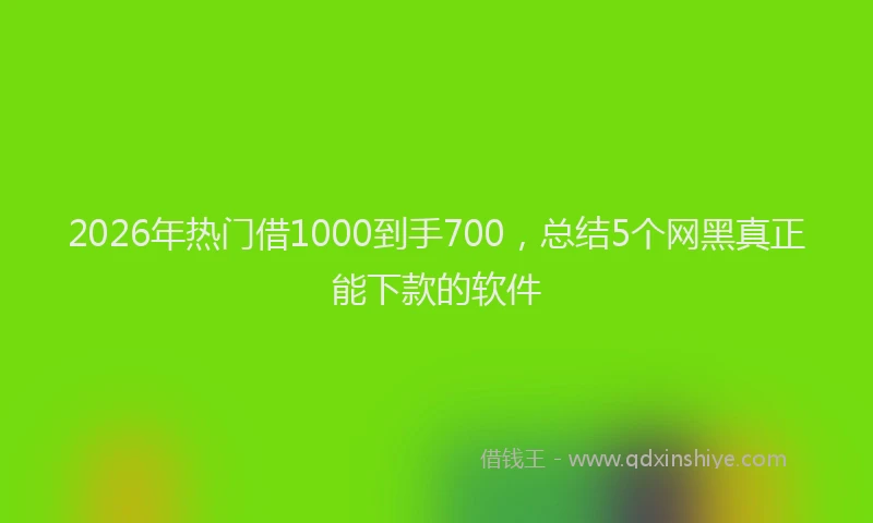 2026年热门借1000到手700，总结5个网黑真正能下款的软件