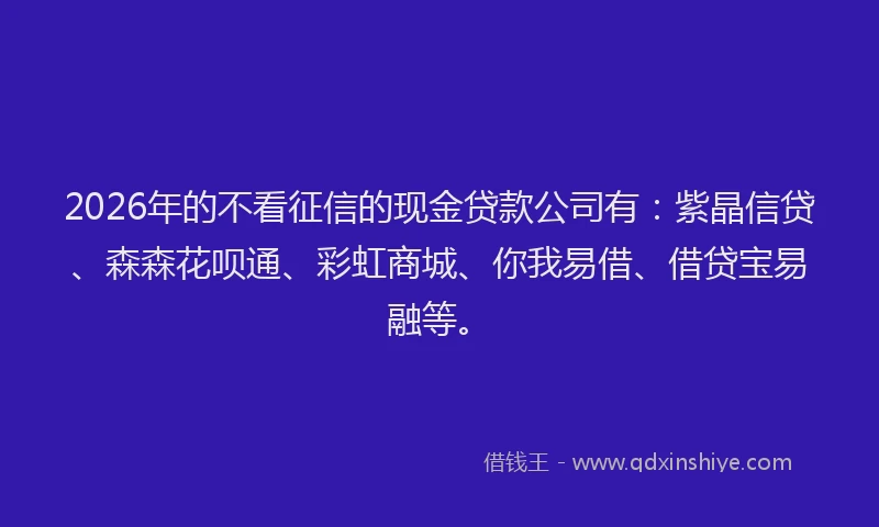 2026年的不看征信的现金贷款公司有：紫晶信贷、森森花呗通、彩虹商城、你我易借、借贷宝易融等。