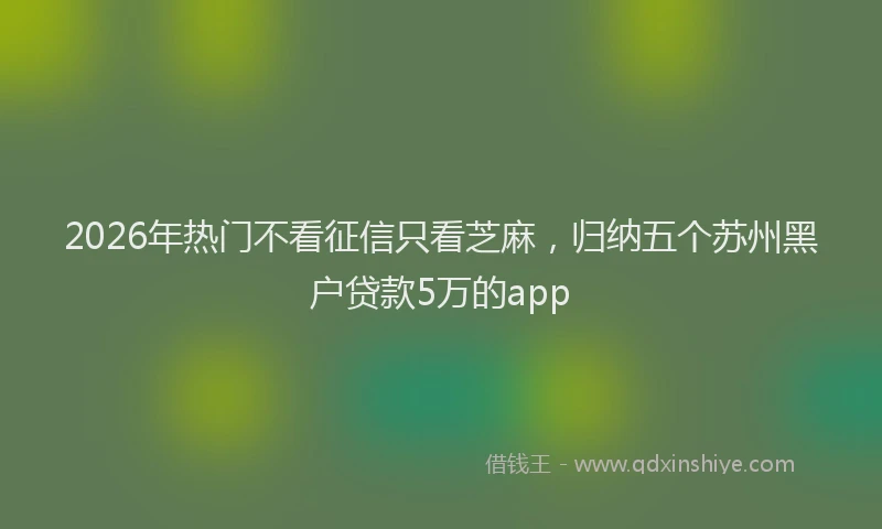 2026年热门不看征信只看芝麻，归纳五个苏州黑户贷款5万的app