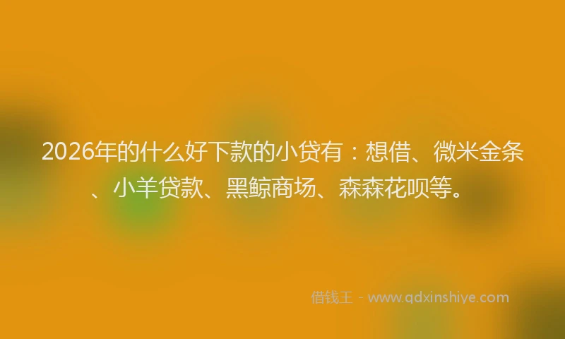 2026年的什么好下款的小贷有：想借、微米金条、小羊贷款、黑鲸商场、森森花呗等。