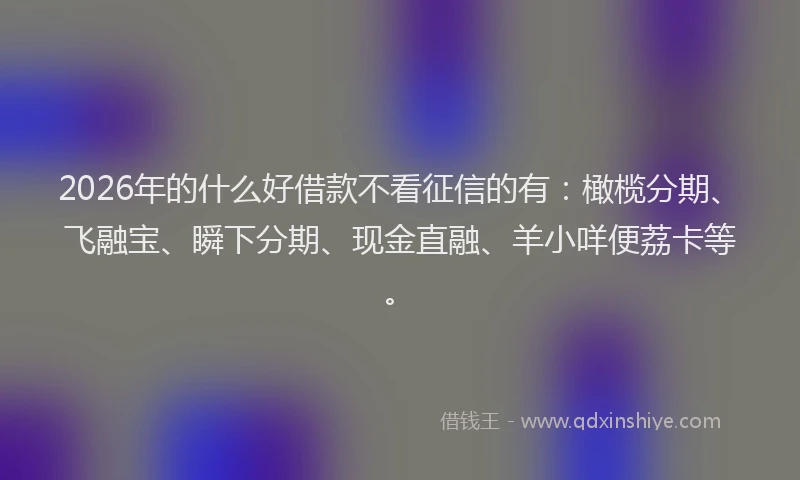2026年的什么好借款不看征信的有：橄榄分期、飞融宝、瞬下分期、现金直融、羊小咩便荔卡等。