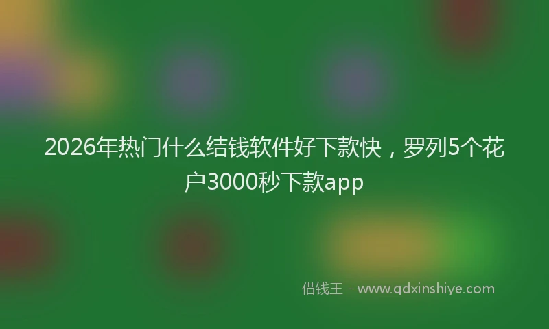 2026年热门什么结钱软件好下款快，罗列5个花户3000秒下款app