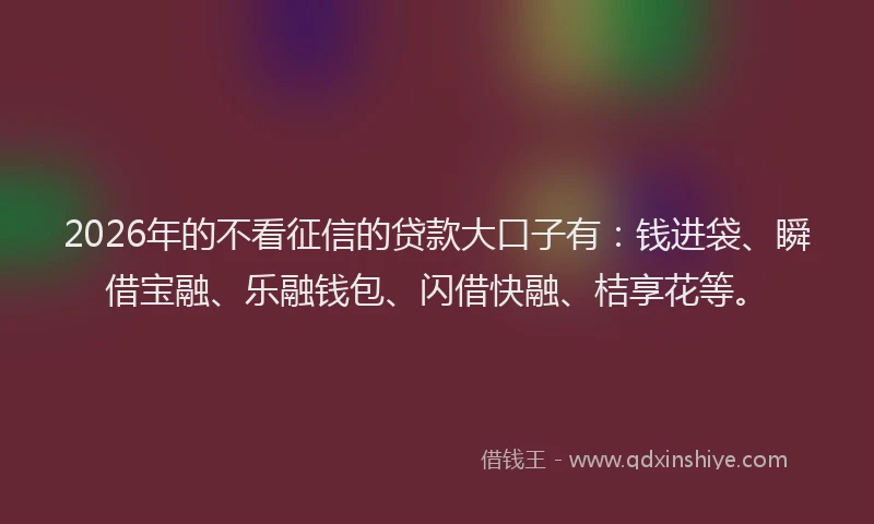 2026年的不看征信的贷款大口子有：钱进袋、瞬借宝融、乐融钱包、闪借快融、桔享花等。
