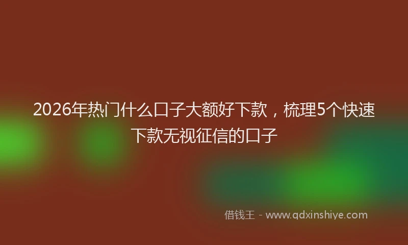2026年热门什么口子大额好下款，梳理5个快速下款无视征信的口子