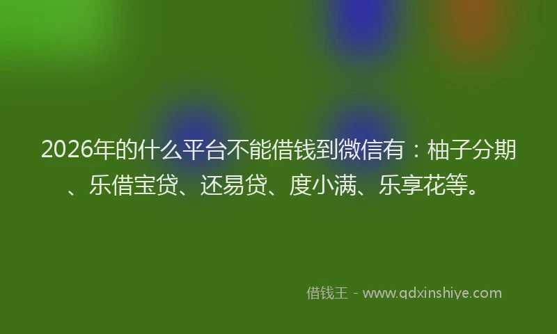 2026年的什么平台不能借钱到微信有：柚子分期、乐借宝贷、还易贷、度小满、乐享花等。