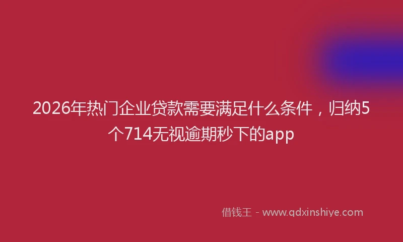 2026年热门企业贷款需要满足什么条件，归纳5个714无视逾期秒下的app