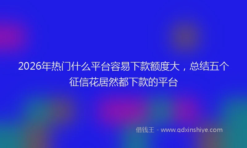 2026年热门什么平台容易下款额度大，总结五个征信花居然都下款的平台