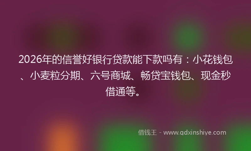 2026年的信誉好银行贷款能下款吗有：小花钱包、小麦粒分期、六号商城、畅贷宝钱包、现金秒借通等。