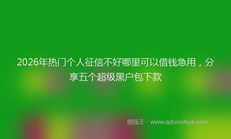 2026年热门个人征信不好哪里可以借钱急用，分享五个超级黑户包下款