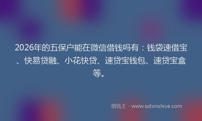 2026年的五保户能在微信借钱吗有：钱袋速借宝、快易贷融、小花快贷、速贷宝钱包、速贷宝盒等。