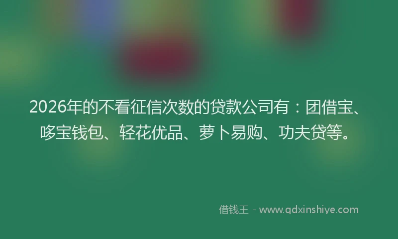 2026年的不看征信次数的贷款公司有：团借宝、哆宝钱包、轻花优品、萝卜易购、功夫贷等。