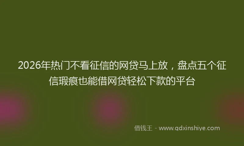 2026年热门不看征信的网贷马上放，盘点五个征信瑕疵也能借网贷轻松下款的平台