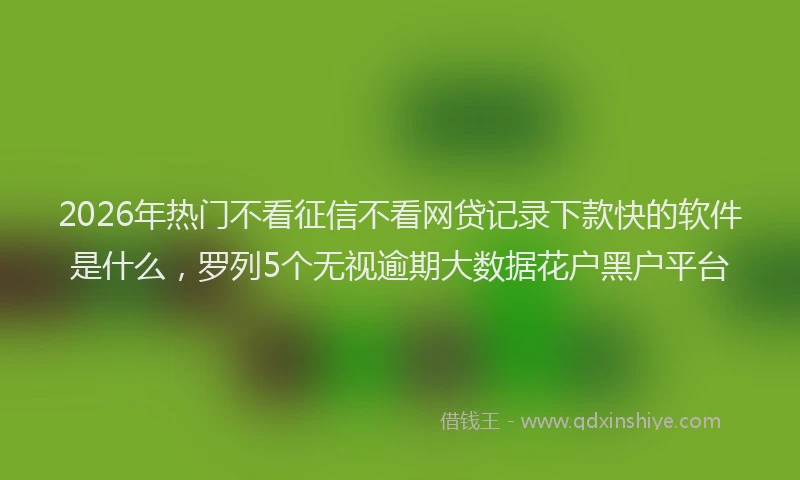 2026年热门不看征信不看网贷记录下款快的软件是什么，罗列5个无视逾期大数据花户黑户平台