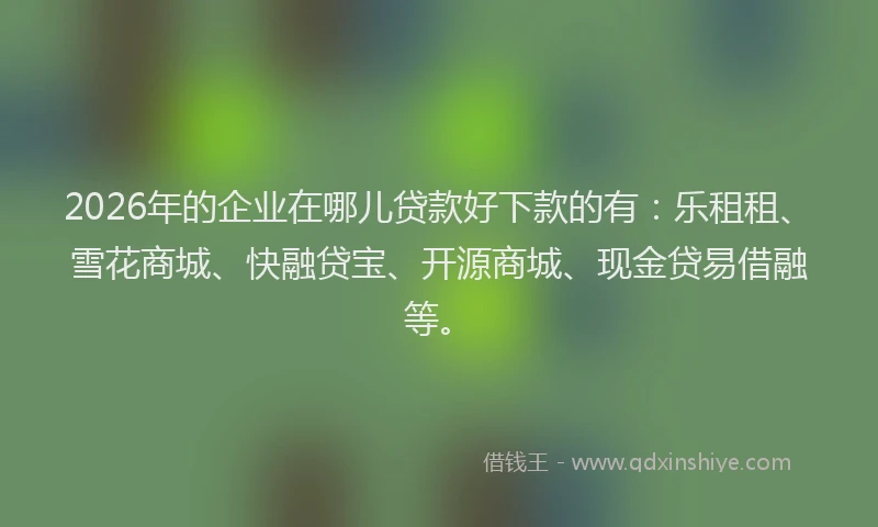 2026年的企业在哪儿贷款好下款的有：乐租租、雪花商城、快融贷宝、开源商城、现金贷易借融等。