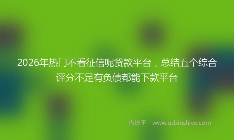 2026年热门不看征信呢贷款平台，总结五个综合评分不足有负债都能下款平台