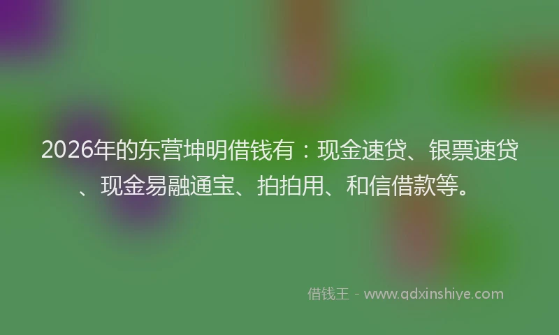 2026年的东营坤明借钱有：现金速贷、银票速贷、现金易融通宝、拍拍用、和信借款等。